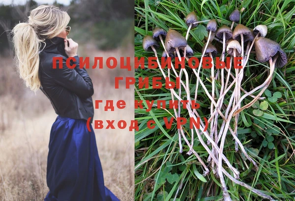 ешки Арсеньев