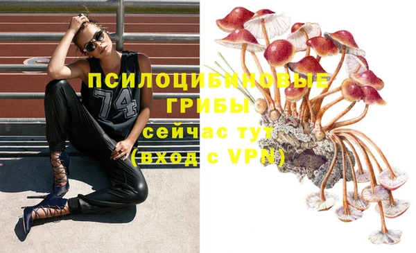 ешки Армянск