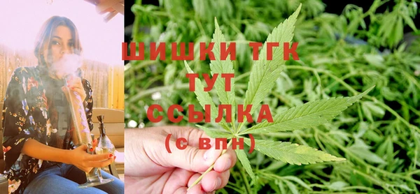apvp Аркадак
