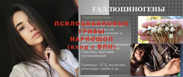 apvp Гусев
