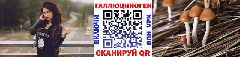 где можно купить наркотик  Краснотурьинск  Галлюциногенные грибы Psilocybe 